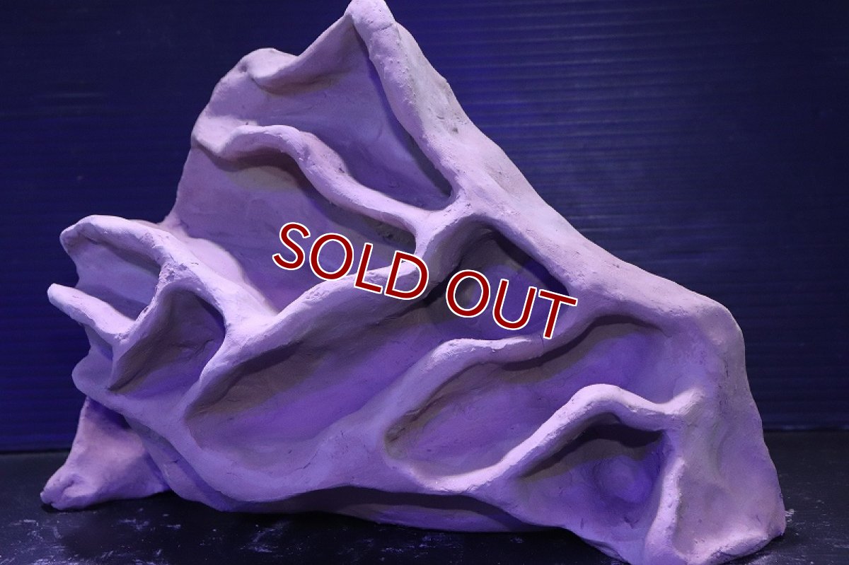 画像5: シェルタクラフタ No2 アリの巣型×産卵筒 シェルター【個体販売】(淡水) (5)