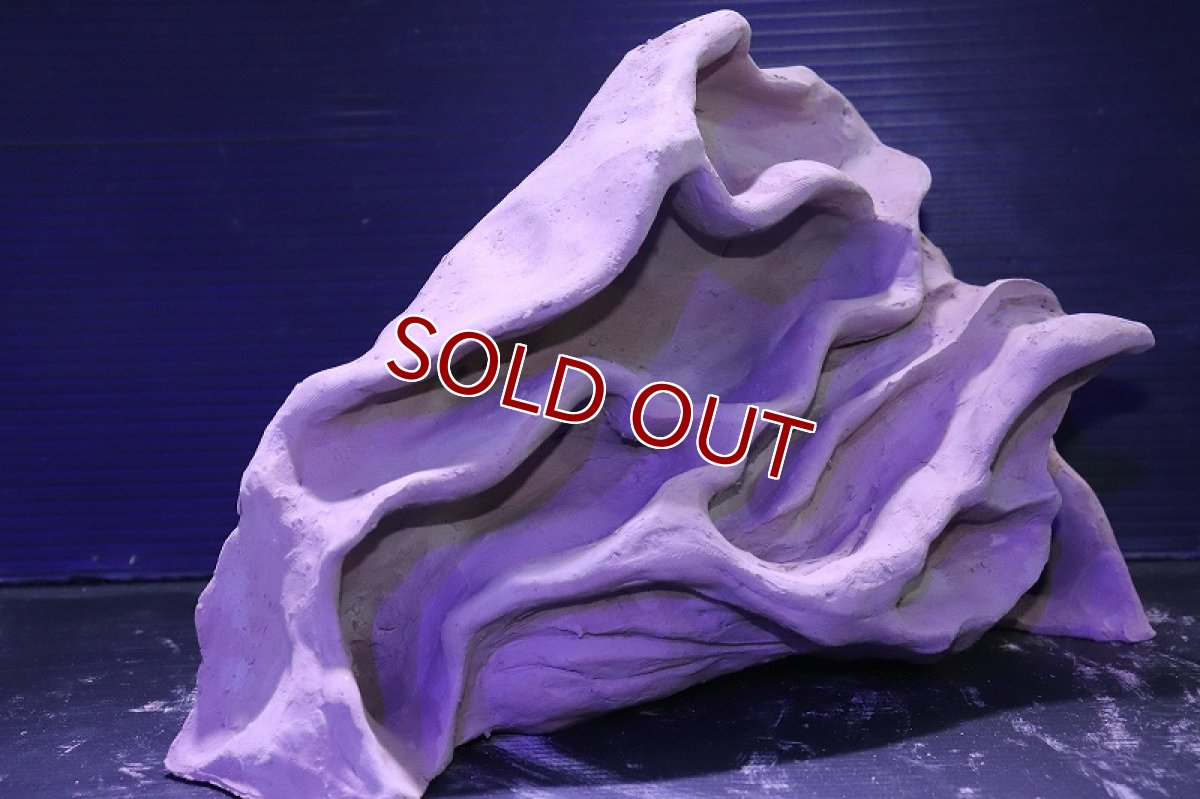 画像3: シェルタクラフタ No3 アリの巣型×産卵筒 シェルター【個体販売】(淡水) (3)