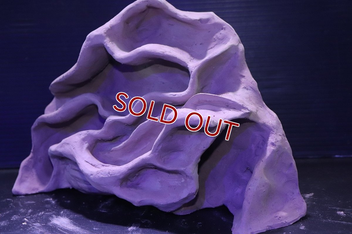 画像4: シェルタクラフタ No3 アリの巣型×産卵筒 シェルター【個体販売】(淡水) (4)