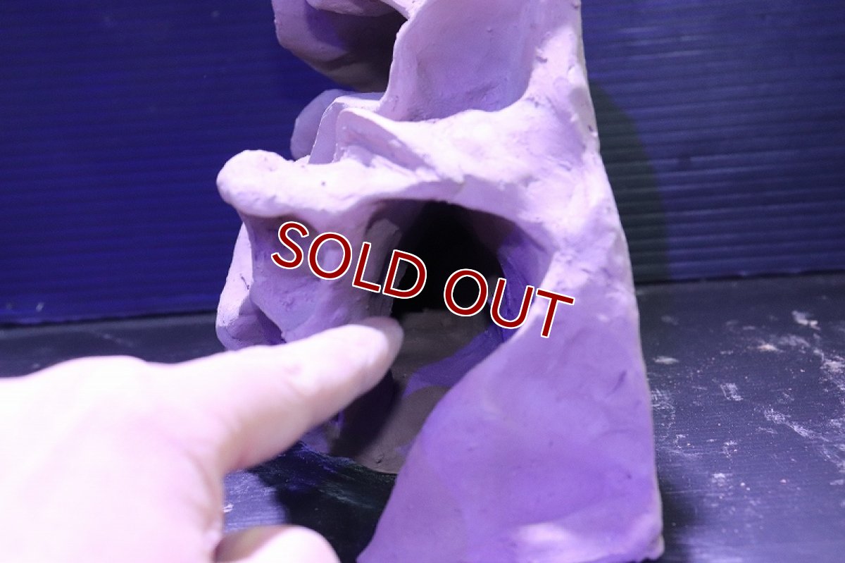 画像5: シェルタクラフタ No3 アリの巣型×産卵筒 シェルター【個体販売】(淡水) (5)