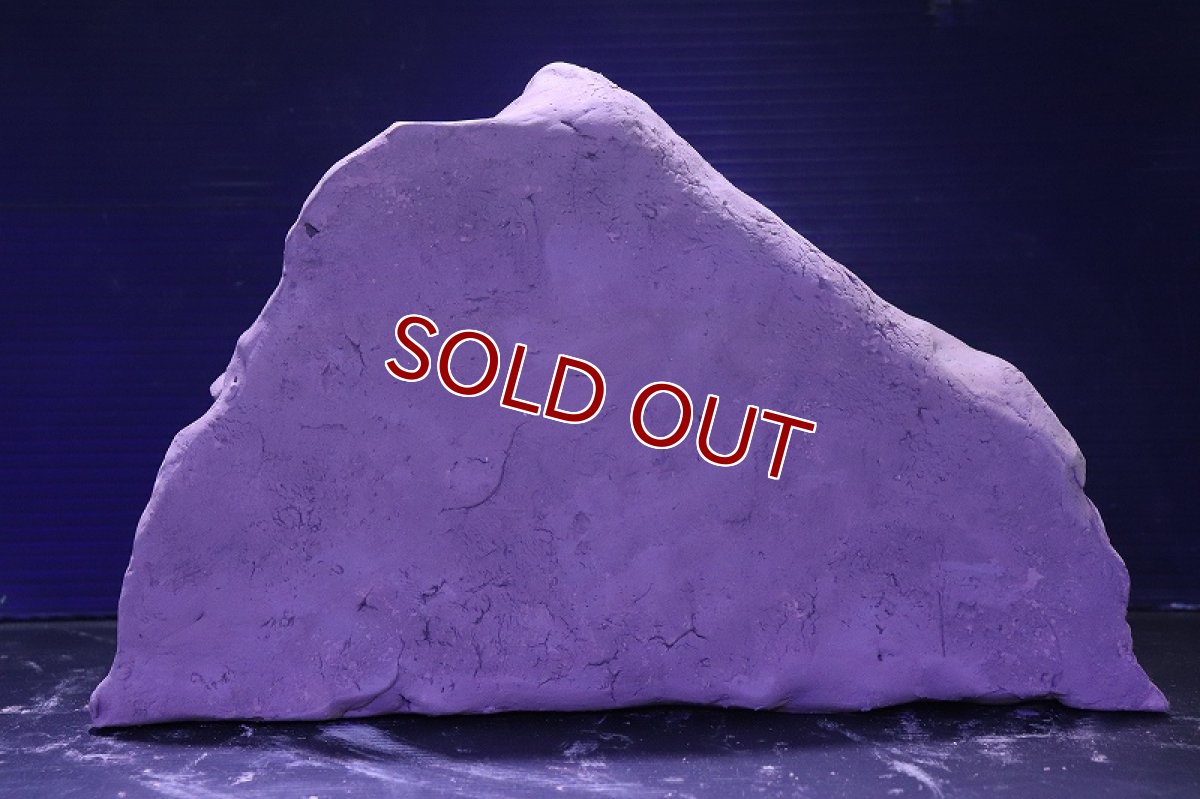 画像6: シェルタクラフタ No3 アリの巣型×産卵筒 シェルター【個体販売】(淡水) (6)