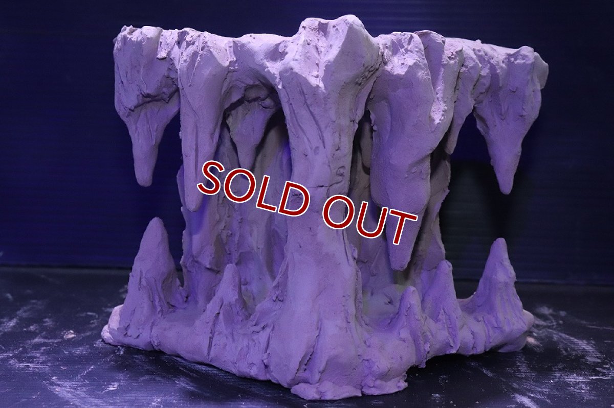 画像2: シェルタクラフタ No1 鍾乳石タワー1段 シェルター【個体販売】(淡水) (2)