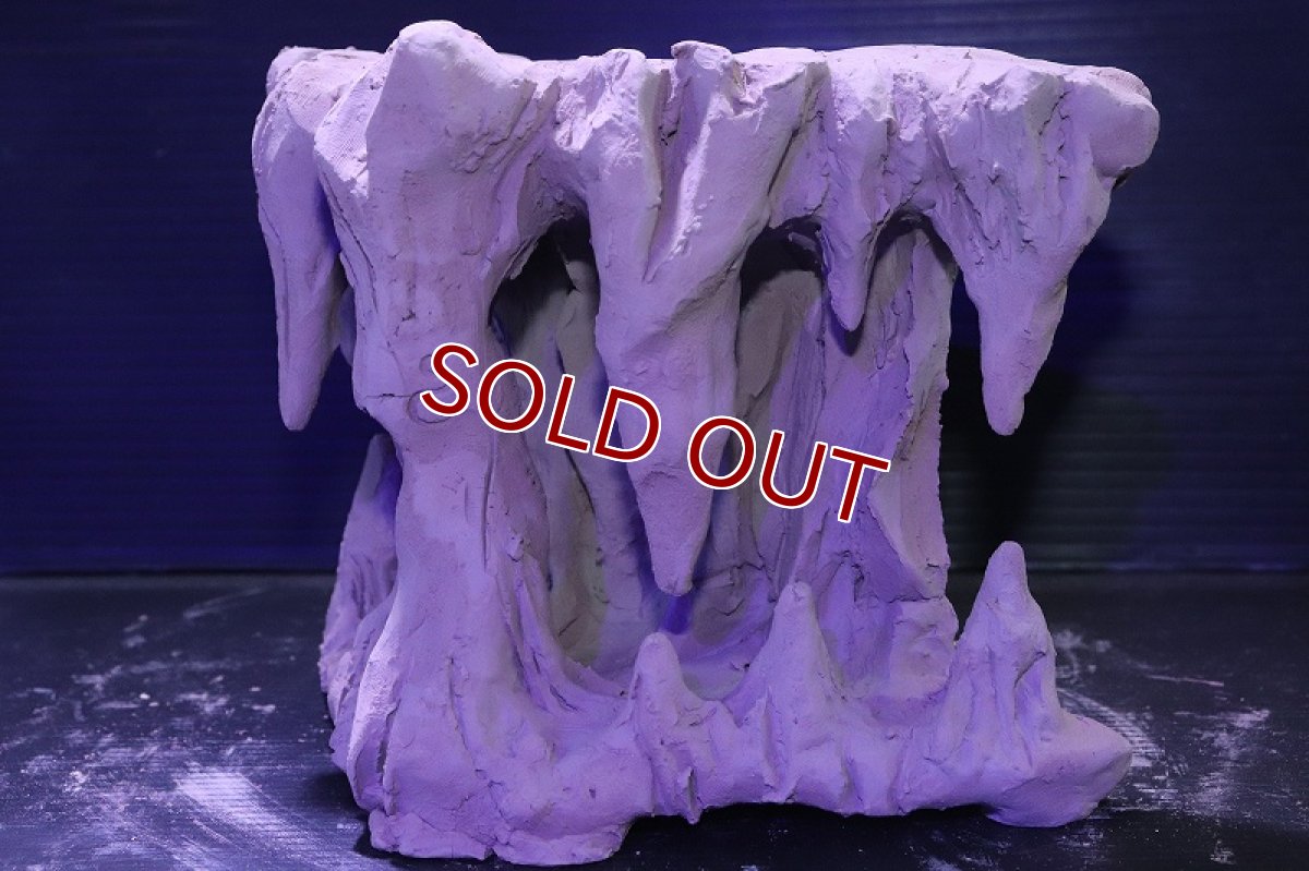 画像4: シェルタクラフタ No1 鍾乳石タワー1段 シェルター【個体販売】(淡水) (4)