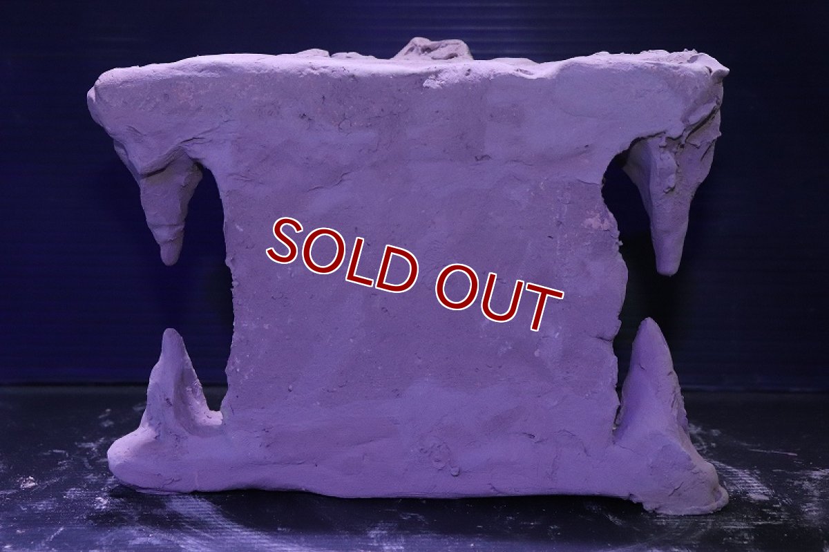 画像5: シェルタクラフタ No1 鍾乳石タワー1段 シェルター【個体販売】(淡水) (5)