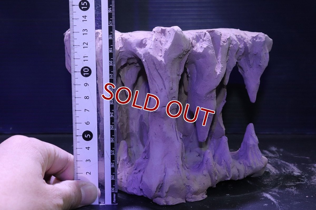 画像7: シェルタクラフタ No1 鍾乳石タワー1段 シェルター【個体販売】(淡水) (7)