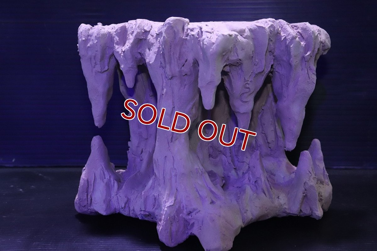 画像2: シェルタクラフタ No2 鍾乳石タワー１段 シェルター【個体販売】(淡水) (2)