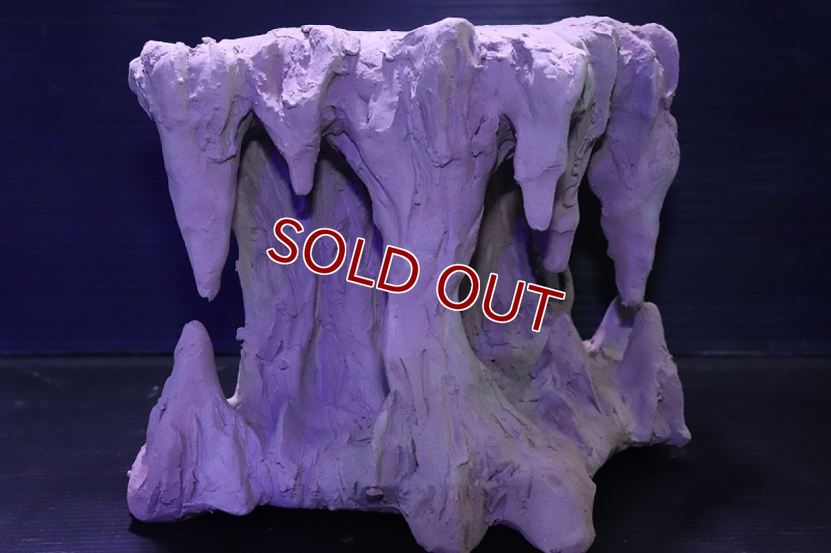 画像3: シェルタクラフタ No2 鍾乳石タワー１段 シェルター【個体販売】(淡水) (3)