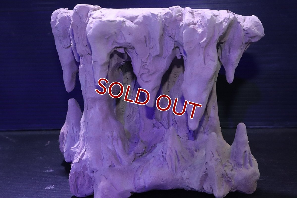 画像4: シェルタクラフタ No2 鍾乳石タワー１段 シェルター【個体販売】(淡水) (4)