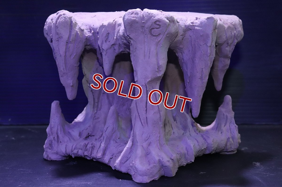 画像2: シェルタクラフタ No3 鍾乳石タワー1段 シェルター【個体販売】(淡水) (2)