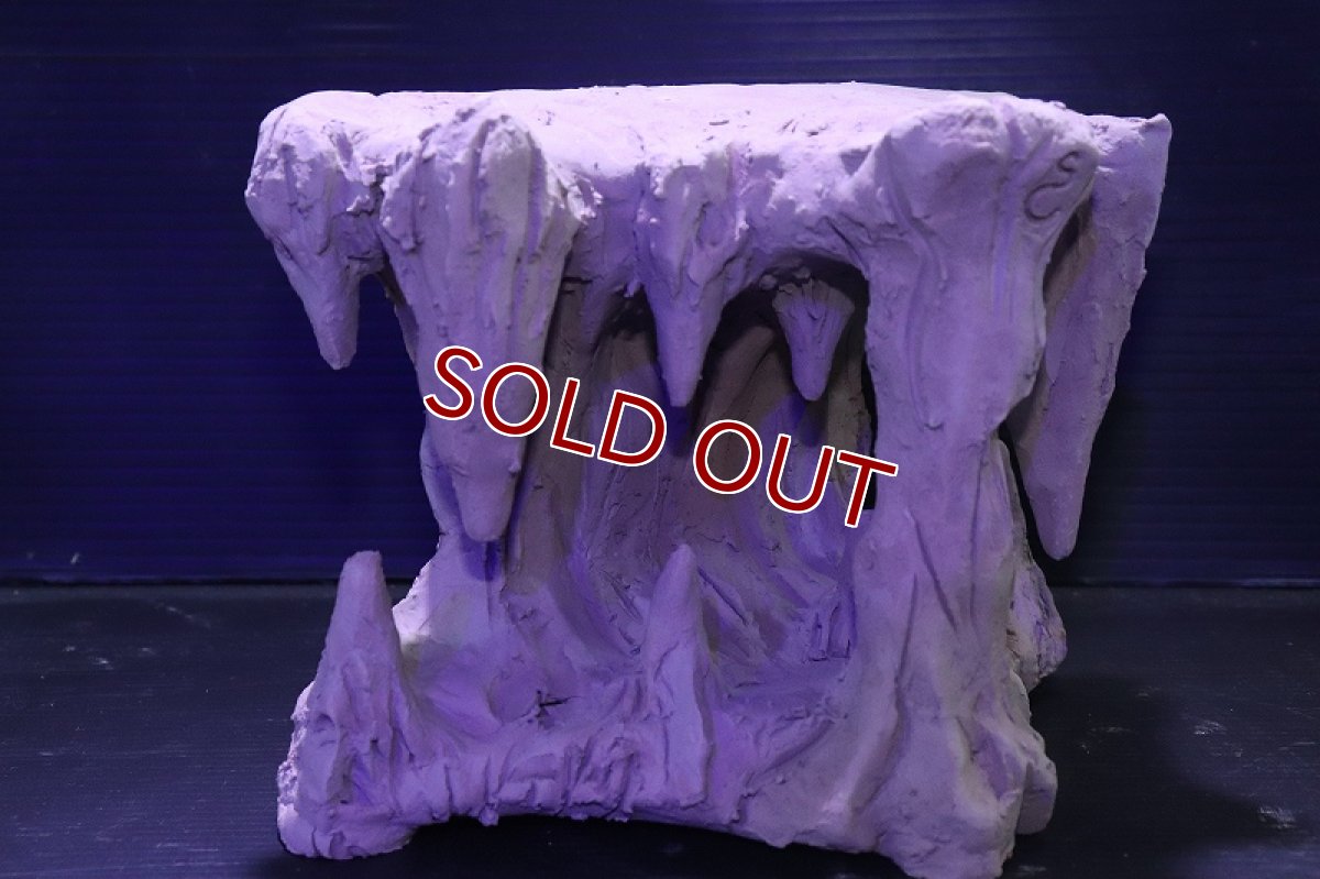 画像3: シェルタクラフタ No3 鍾乳石タワー1段 シェルター【個体販売】(淡水) (3)