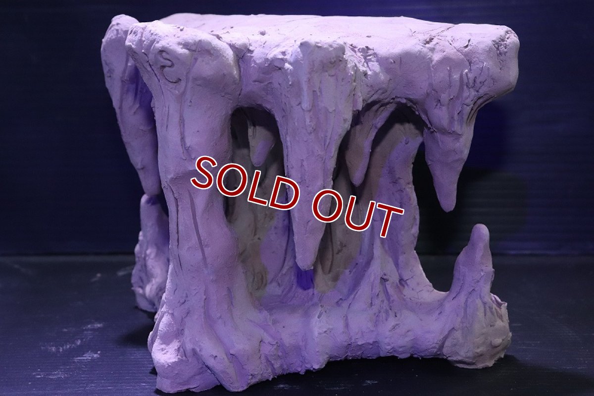 画像4: シェルタクラフタ No3 鍾乳石タワー1段 シェルター【個体販売】(淡水) (4)