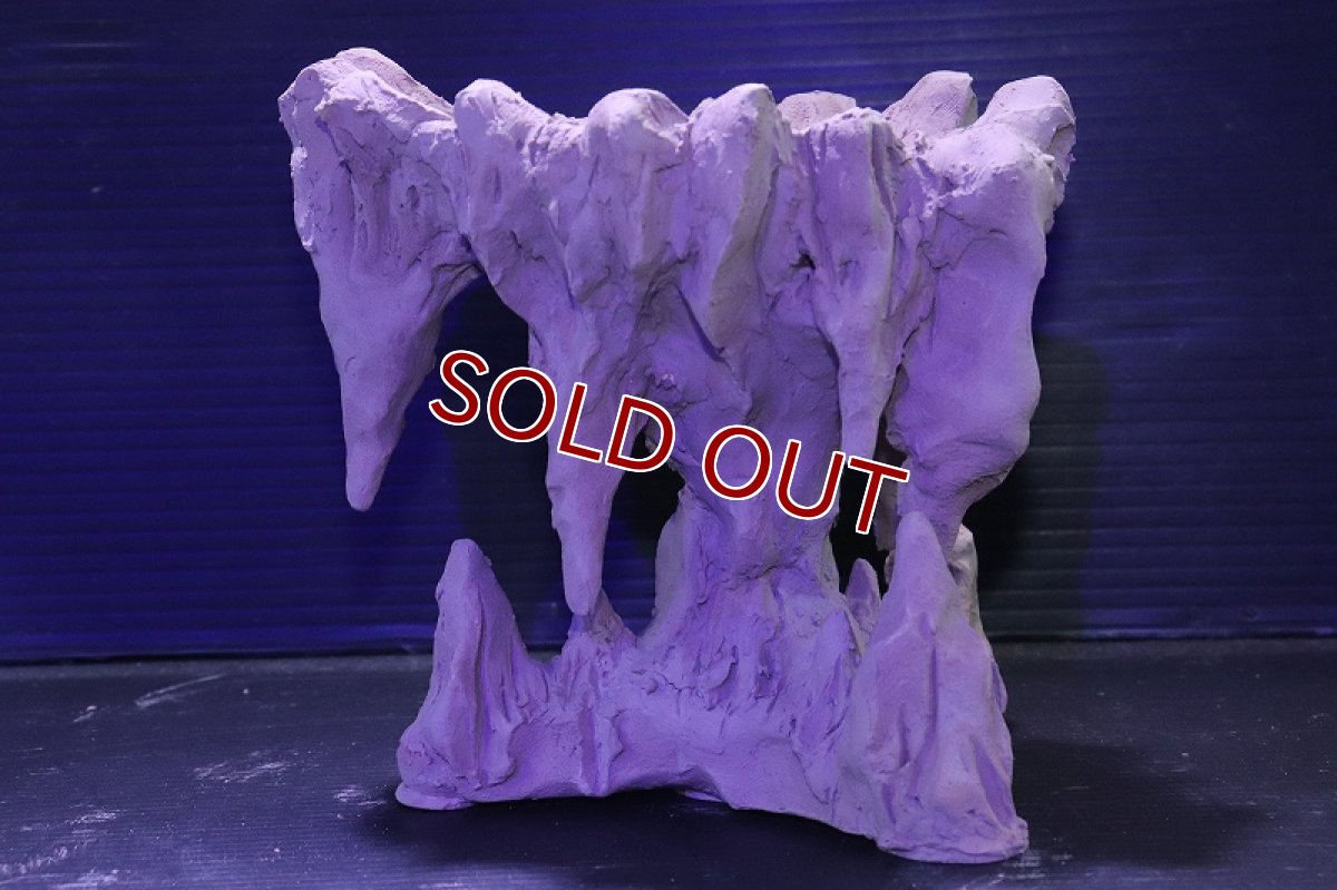 画像2: シェルタクラフタ No1 鍾乳石ポット Sサイズ シェルター【個体販売】(淡水) (2)