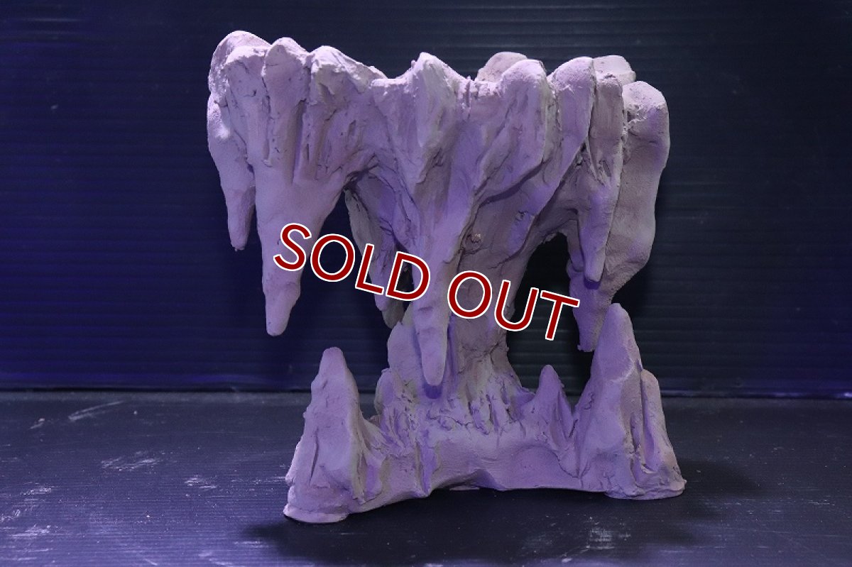 画像3: シェルタクラフタ No1 鍾乳石ポット Sサイズ シェルター【個体販売】(淡水) (3)