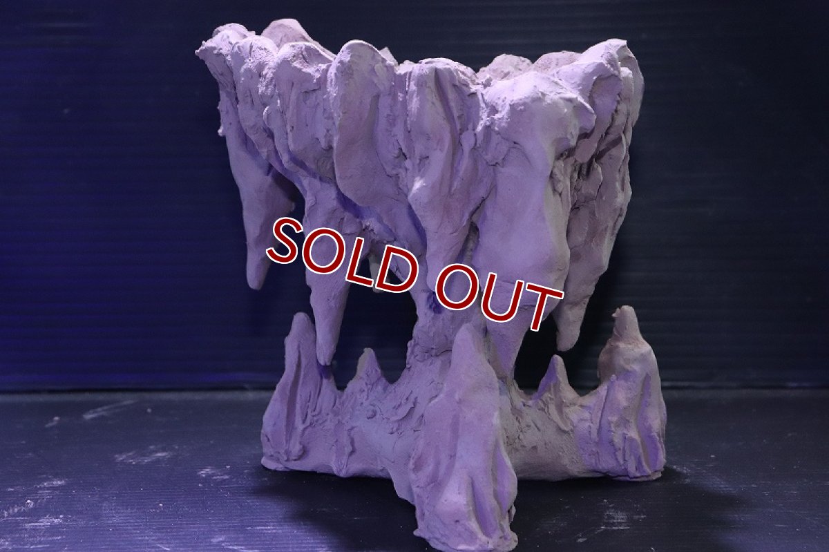 画像4: シェルタクラフタ No1 鍾乳石ポット Sサイズ シェルター【個体販売】(淡水) (4)