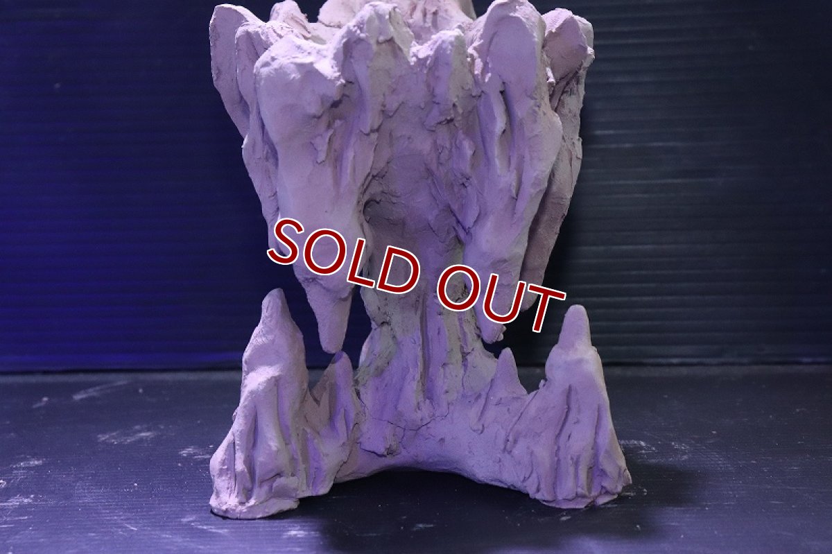 画像5: シェルタクラフタ No1 鍾乳石ポット Sサイズ シェルター【個体販売】(淡水) (5)