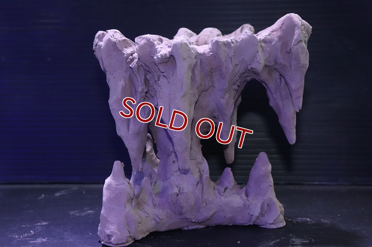 画像6: シェルタクラフタ No1 鍾乳石ポット Sサイズ シェルター【個体販売】(淡水) (6)