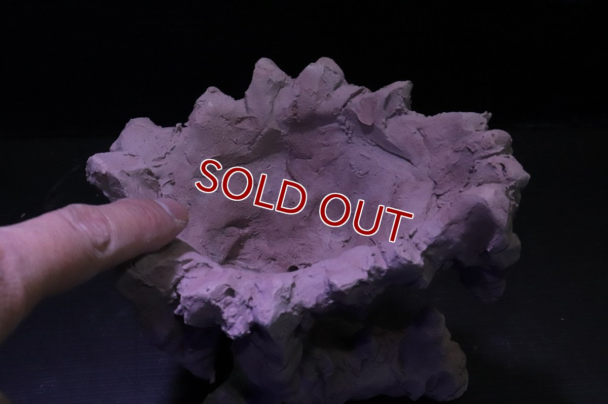 画像7: シェルタクラフタ No1 鍾乳石ポット Sサイズ シェルター【個体販売】(淡水) (7)