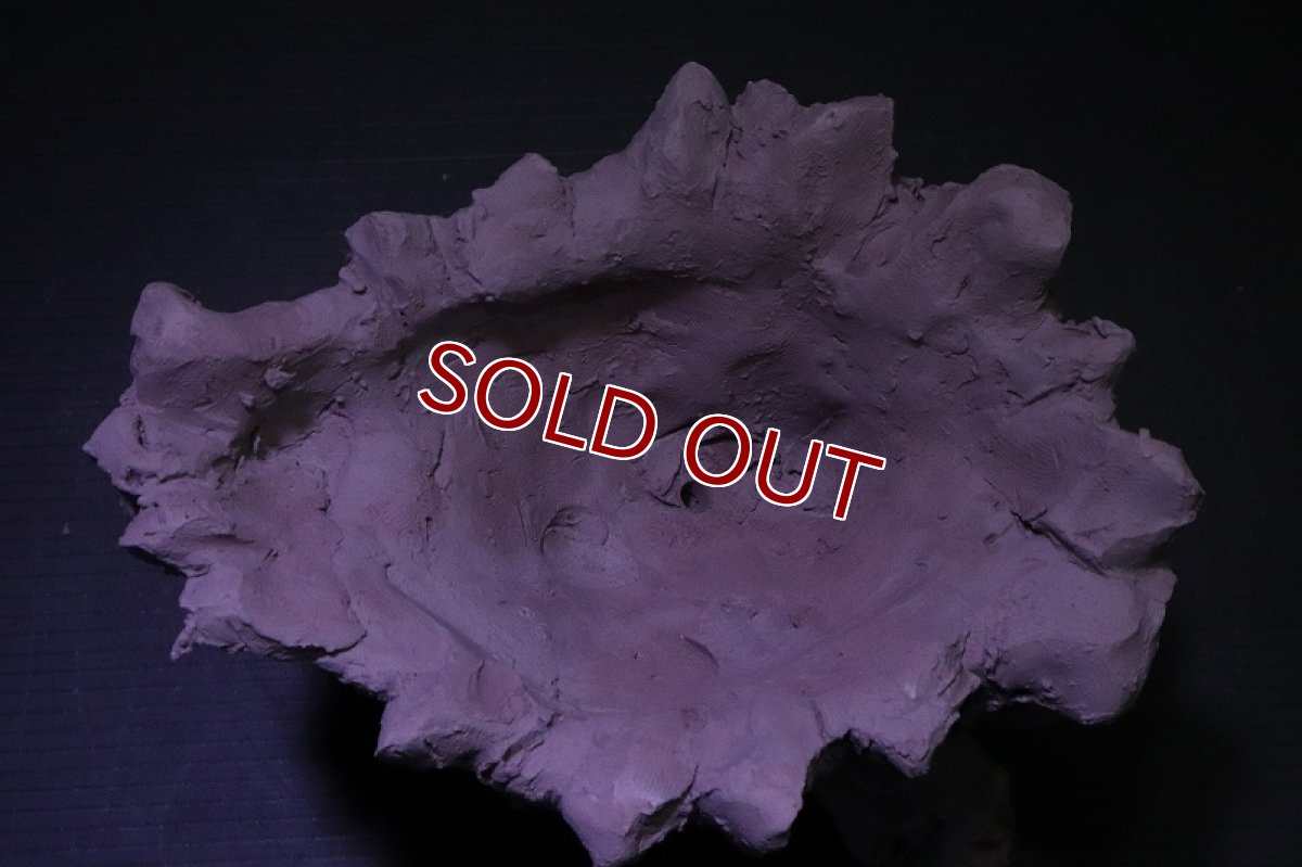 画像8: シェルタクラフタ No1 鍾乳石ポット Sサイズ シェルター【個体販売】(淡水) (8)