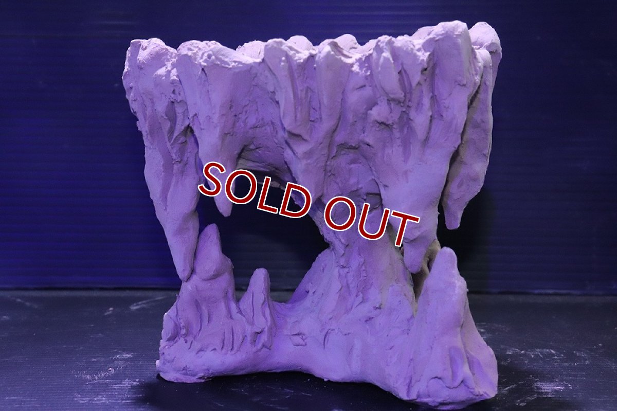 画像2: シェルタクラフタ No2 鍾乳石ポット Sサイズ シェルター【個体販売】(淡水) (2)