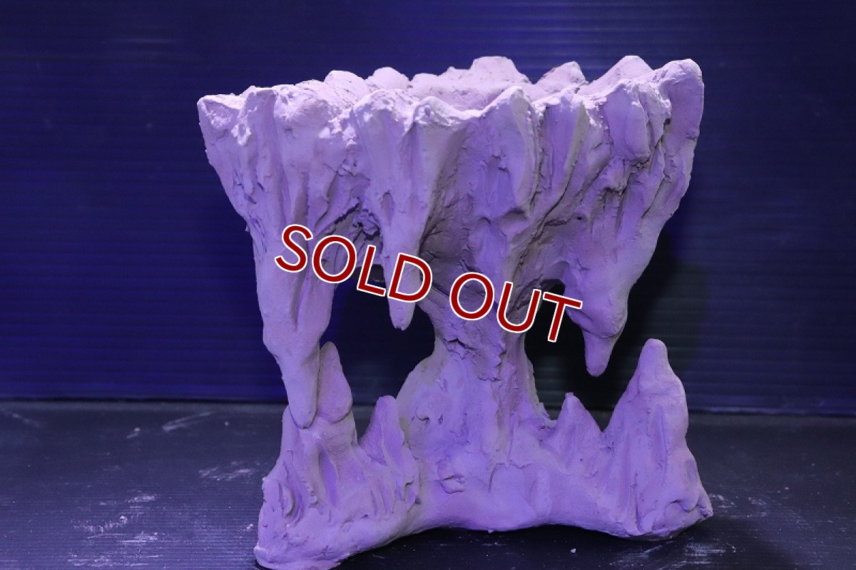 画像3: シェルタクラフタ No2 鍾乳石ポット Sサイズ シェルター【個体販売】(淡水) (3)