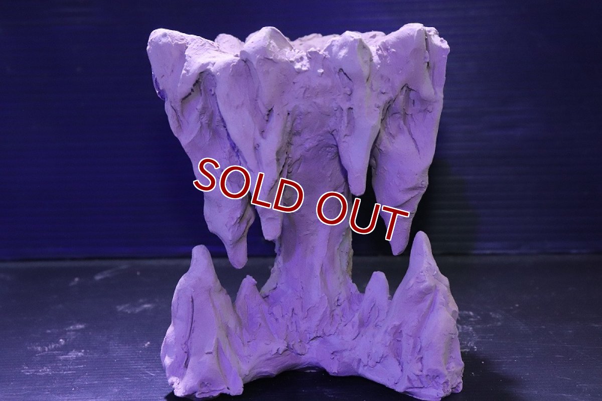 画像5: シェルタクラフタ No2 鍾乳石ポット Sサイズ シェルター【個体販売】(淡水) (5)