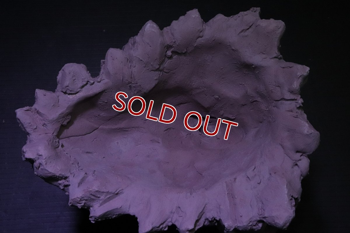 画像7: シェルタクラフタ No2 鍾乳石ポット Sサイズ シェルター【個体販売】(淡水) (7)