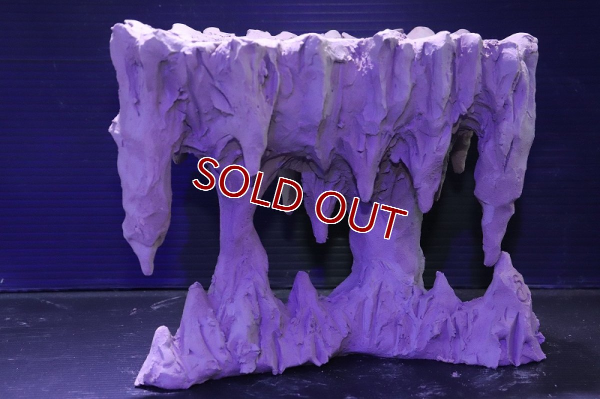 画像3: シェルタクラフタ No1 鍾乳石ポット Mサイズ シェルター【個体販売】(淡水) (3)