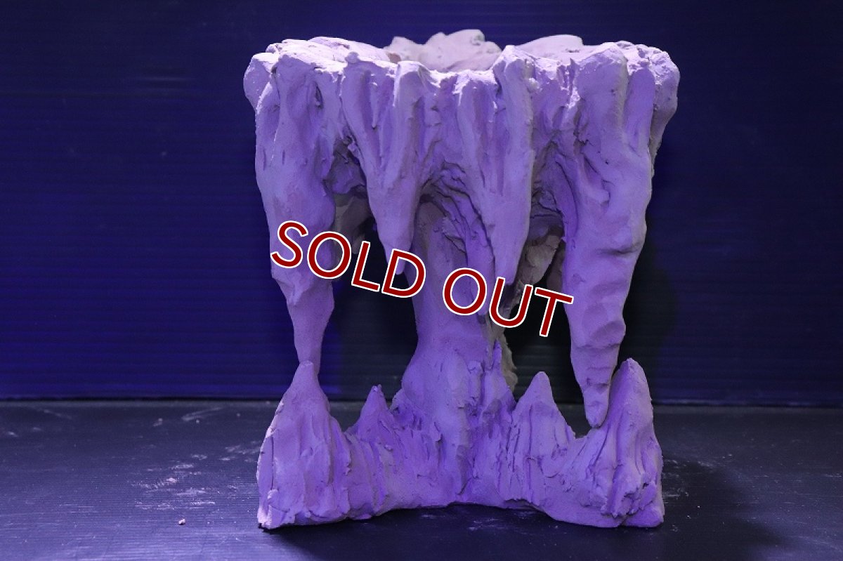 画像5: シェルタクラフタ No1 鍾乳石ポット Mサイズ シェルター【個体販売】(淡水) (5)