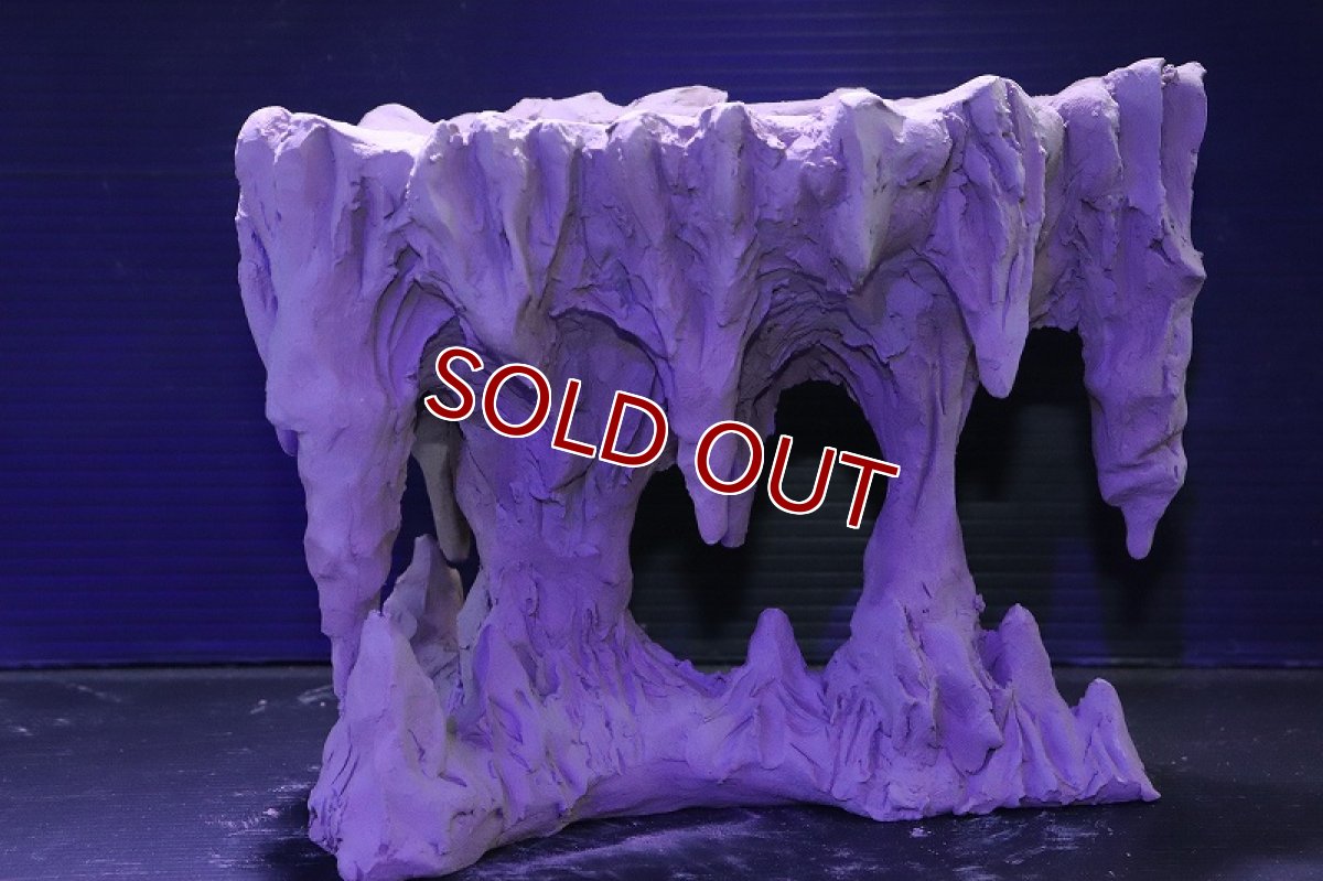 画像6: シェルタクラフタ No1 鍾乳石ポット Mサイズ シェルター【個体販売】(淡水) (6)