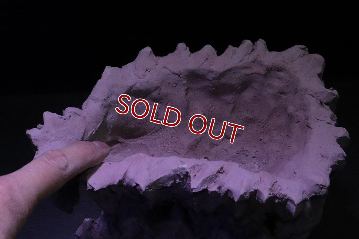 画像7: シェルタクラフタ No1 鍾乳石ポット Mサイズ シェルター【個体販売】(淡水) (7)