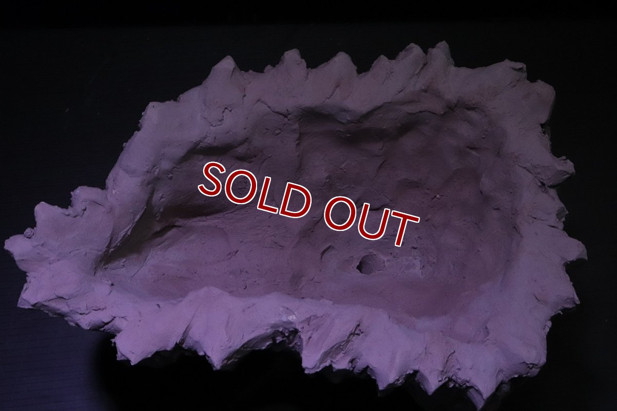 画像8: シェルタクラフタ No1 鍾乳石ポット Mサイズ シェルター【個体販売】(淡水) (8)