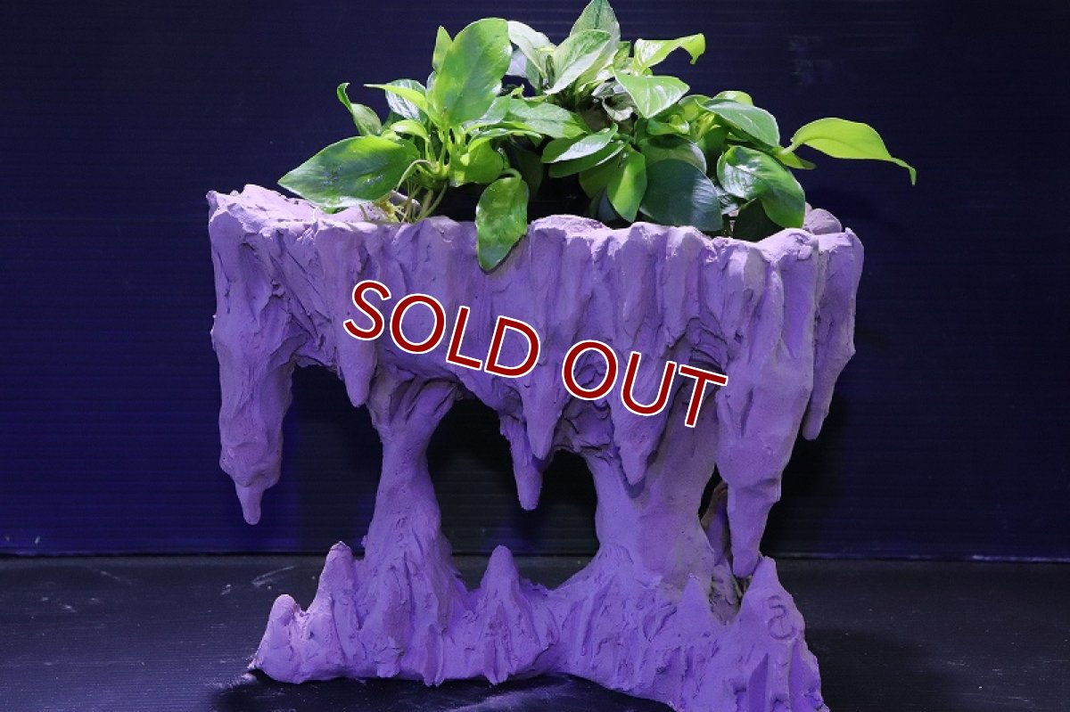 画像9: シェルタクラフタ No1 鍾乳石ポット Mサイズ シェルター【個体販売】(淡水) (9)