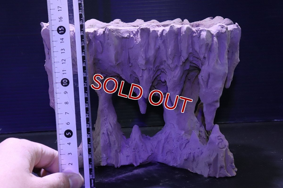 画像10: シェルタクラフタ No1 鍾乳石ポット Mサイズ シェルター【個体販売】(淡水) (10)