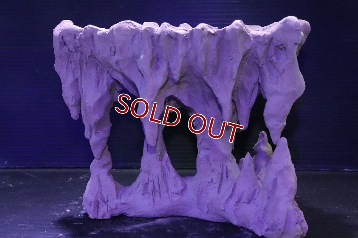 画像2: シェルタクラフタ No2 鍾乳石ポット Mサイズ シェルター【個体販売】(淡水) (2)