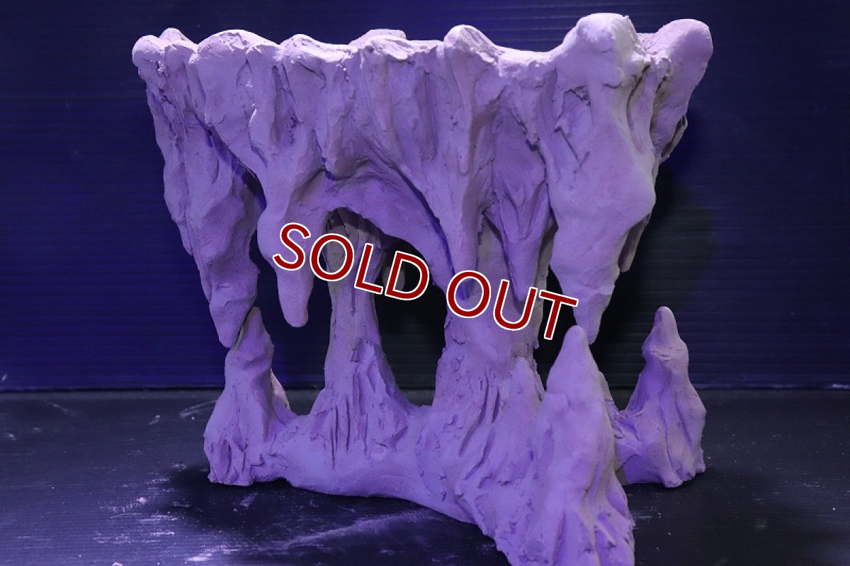 画像4: シェルタクラフタ No2 鍾乳石ポット Mサイズ シェルター【個体販売】(淡水) (4)