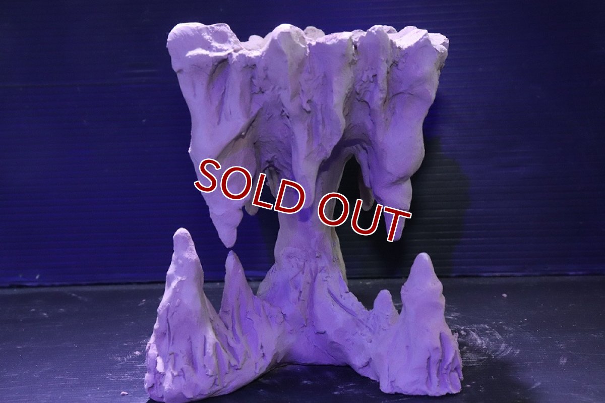 画像5: シェルタクラフタ No2 鍾乳石ポット Mサイズ シェルター【個体販売】(淡水) (5)