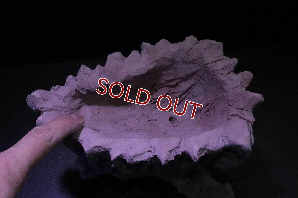 画像7: シェルタクラフタ No2 鍾乳石ポット Mサイズ シェルター【個体販売】(淡水) (7)