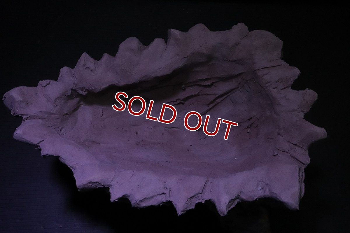 画像8: シェルタクラフタ No2 鍾乳石ポット Mサイズ シェルター【個体販売】(淡水) (8)