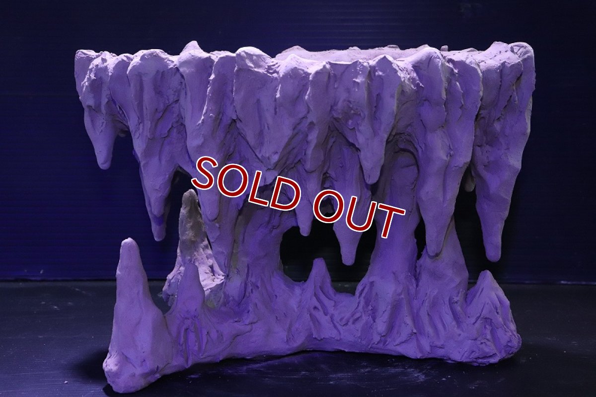 画像2: シェルタクラフタ No1 鍾乳石ポット Lサイズ シェルター【個体販売】(淡水) (2)