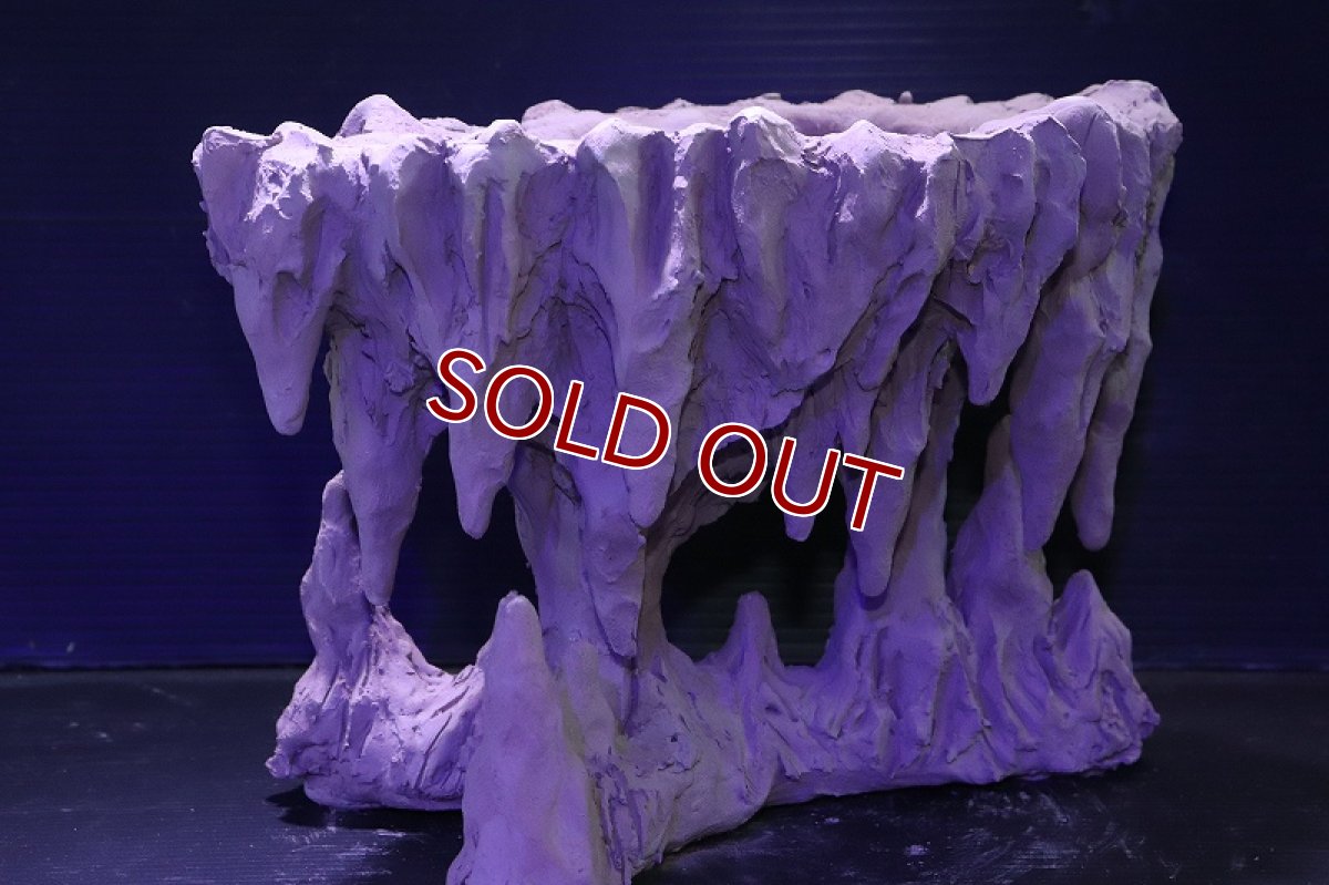 画像3: シェルタクラフタ No1 鍾乳石ポット Lサイズ シェルター【個体販売】(淡水) (3)