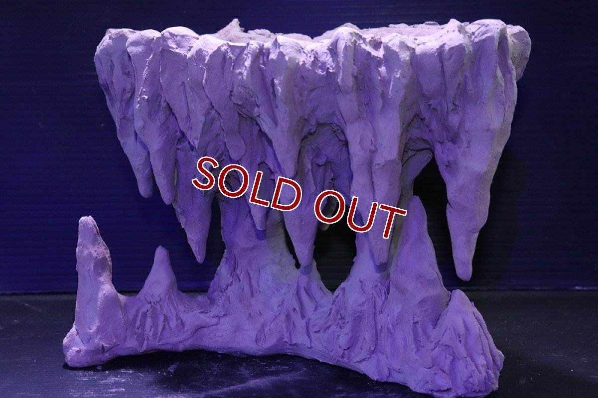 画像4: シェルタクラフタ No1 鍾乳石ポット Lサイズ シェルター【個体販売】(淡水) (4)