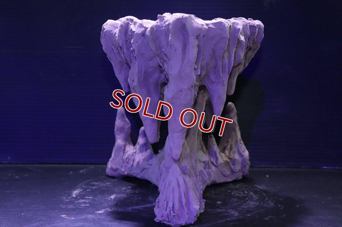 画像5: シェルタクラフタ No1 鍾乳石ポット Lサイズ シェルター【個体販売】(淡水) (5)