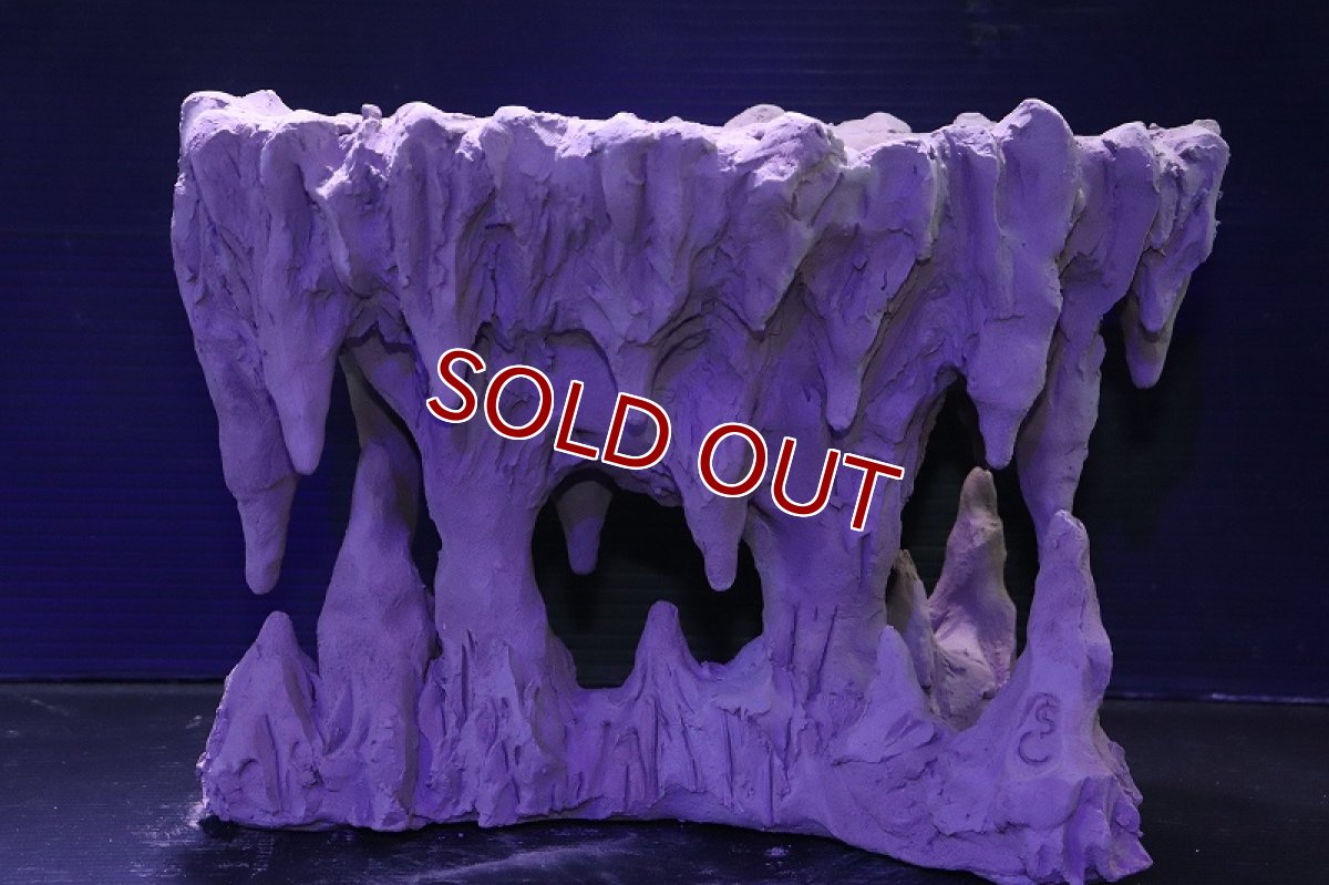 画像6: シェルタクラフタ No1 鍾乳石ポット Lサイズ シェルター【個体販売】(淡水) (6)