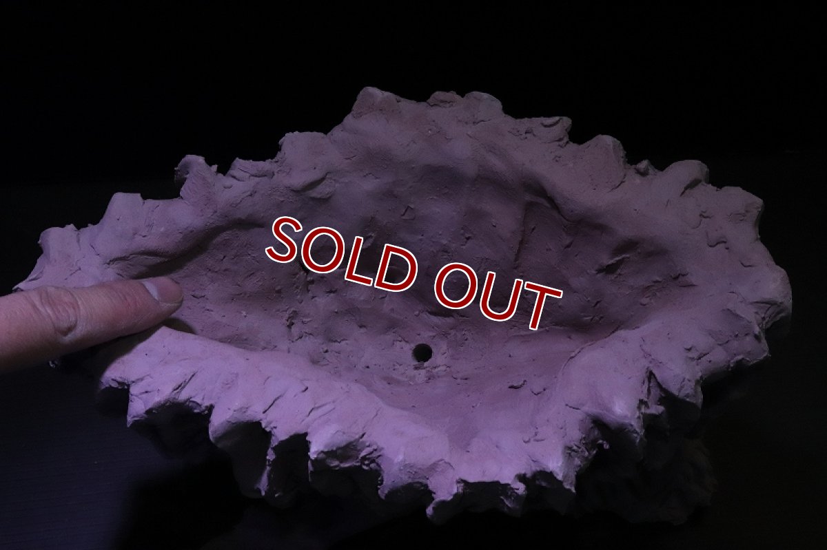 画像7: シェルタクラフタ No1 鍾乳石ポット Lサイズ シェルター【個体販売】(淡水) (7)