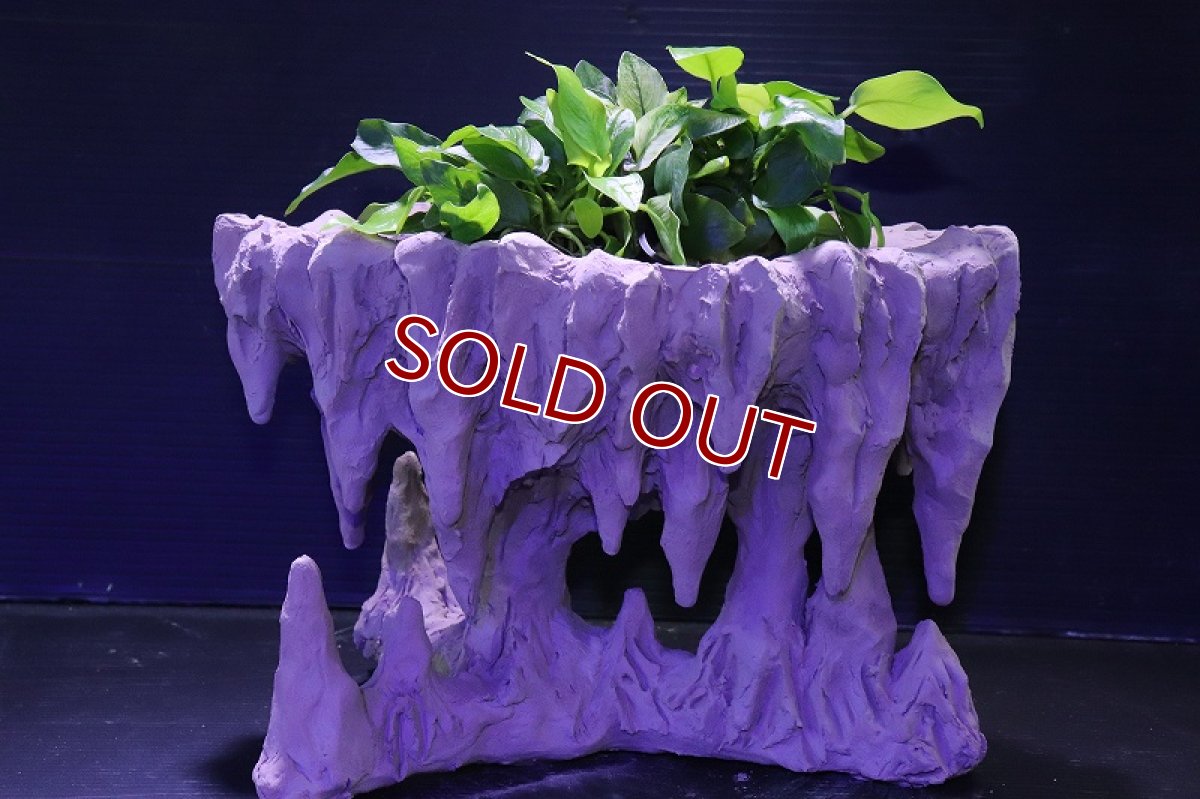 画像9: シェルタクラフタ No1 鍾乳石ポット Lサイズ シェルター【個体販売】(淡水) (9)