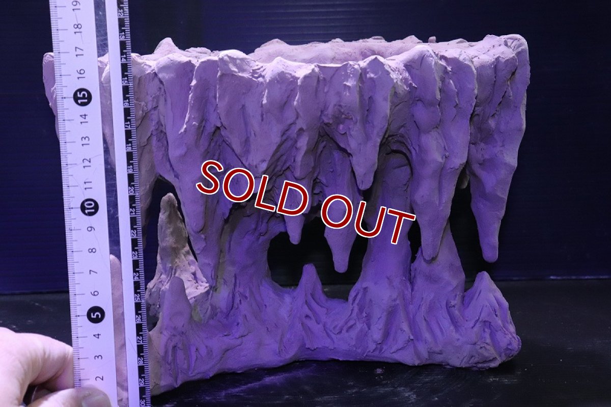 画像10: シェルタクラフタ No1 鍾乳石ポット Lサイズ シェルター【個体販売】(淡水) (10)