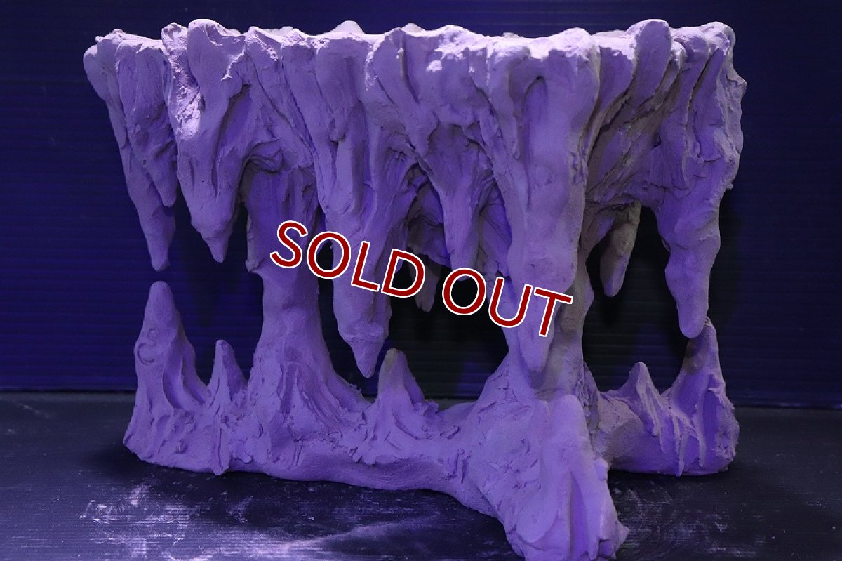 画像4: シェルタクラフタ No2 鍾乳石ポット Lサイズ シェルター【個体販売】(淡水) (4)