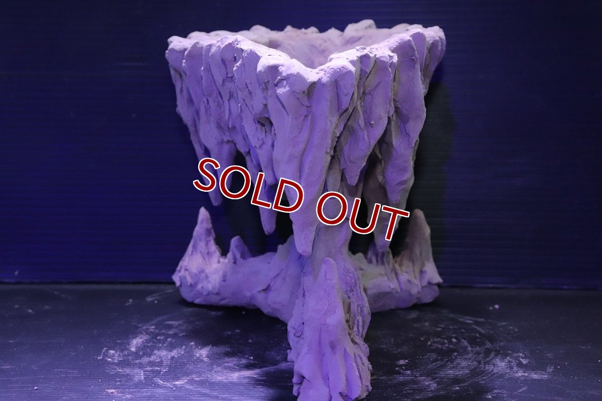 画像5: シェルタクラフタ No2 鍾乳石ポット Lサイズ シェルター【個体販売】(淡水) (5)