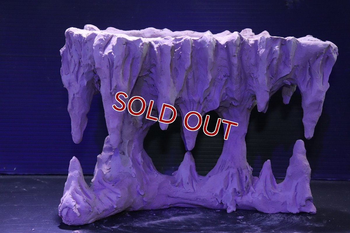 画像6: シェルタクラフタ No2 鍾乳石ポット Lサイズ シェルター【個体販売】(淡水) (6)