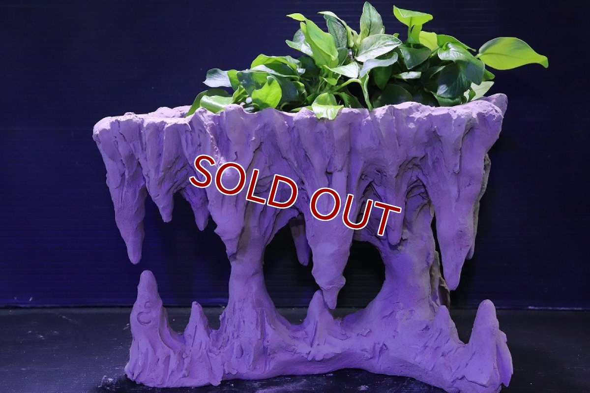 画像9: シェルタクラフタ No2 鍾乳石ポット Lサイズ シェルター【個体販売】(淡水) (9)